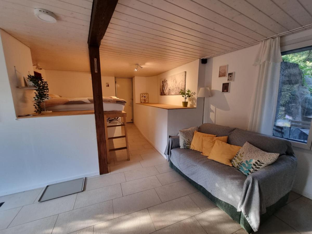 Casa Scerina Leilighet Sementina Eksteriør bilde